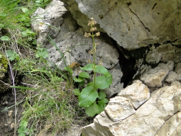 2014-07-19 passo Sella G&A 076