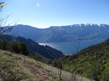 2016-05-03 Limone senter del Fiore (29)