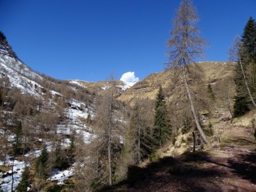 2022-04-09-val-Sanguinera-e-Rondenino-Basso21