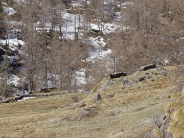 2022-04-09-val-Sanguinera-e-Rondenino-Basso24