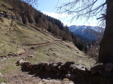 2022-04-09-val-Sanguinera-e-Rondenino-Basso26