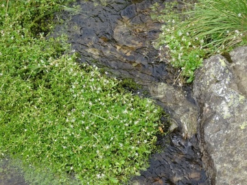 2023-07-22-lago-di-Valsorda-46