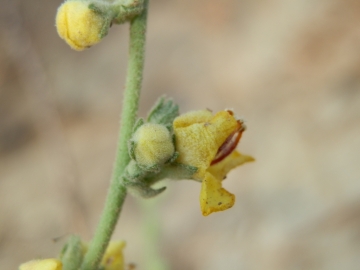 2014-08-Creta 005