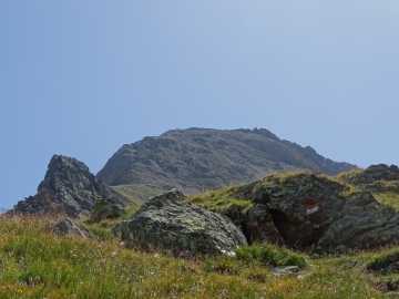 12 2015-07-18 Punta Rossa di Martello Vordere RotSpitze 019